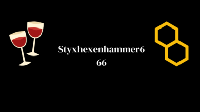 Styxhexenhammer666