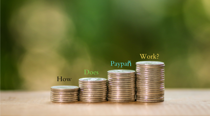 How Does Paypañ Work?