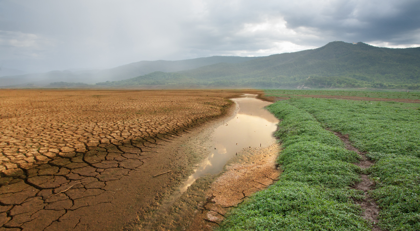 Effects of Cutremur on People and the Environment