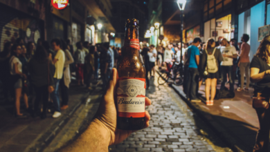 cerveza budweiser 269 ml 24 unidades png